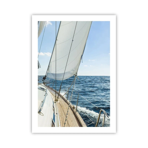 Poster - Ahoy, Adventure - 50x70 cm