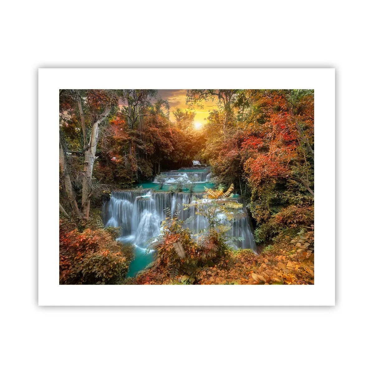 Poster - Hidden Forest Treasure - 50x40 cm