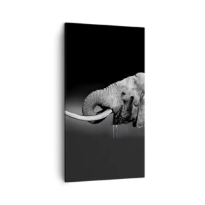 Canvas picture - Yes, That's Right - 45x80 cm