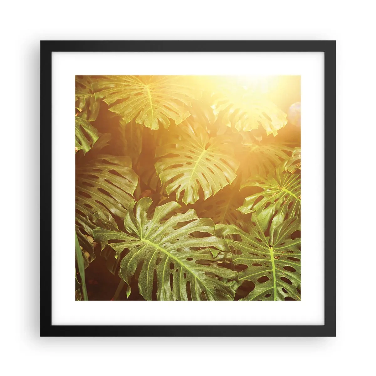 Poster in black frame - Walking into the Green - 40x40 cm