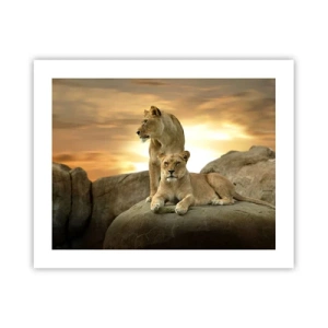 Poster - Royal Majesty - 50x40 cm