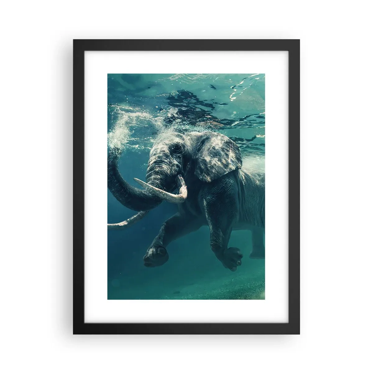 Poster in black frame - Everyone Likes to Swim - 30x40 cm