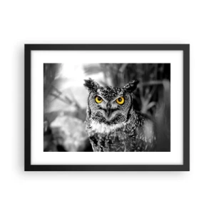 Poster in black frame - Nothing Can Hide - 40x30 cm