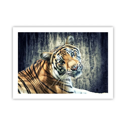 Poster - Portrait in Rays of Light - 70x50 cm