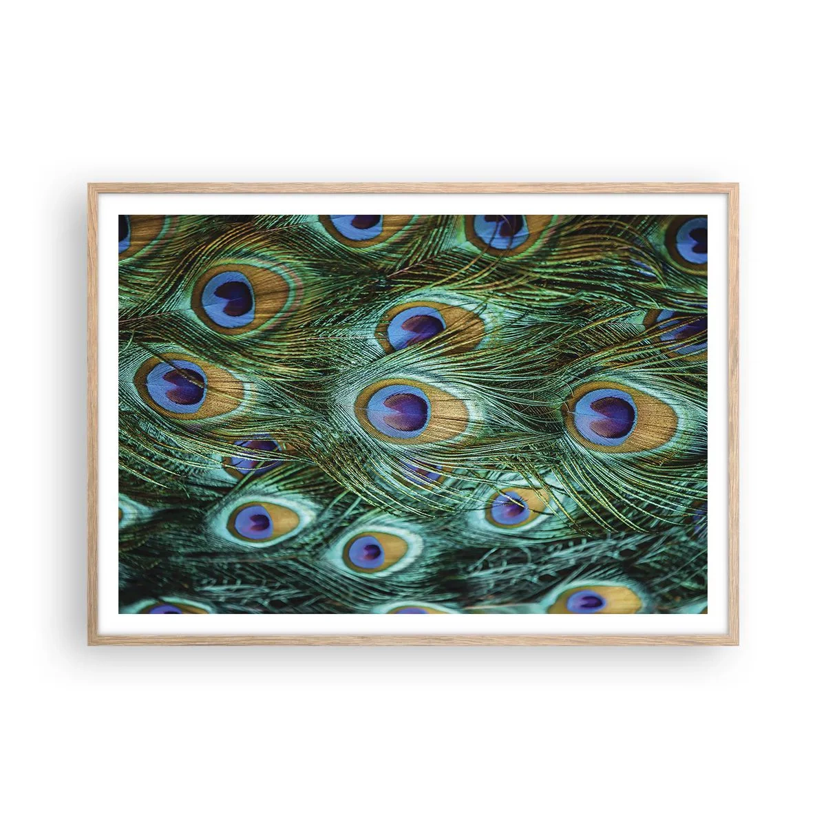 Poster in light oak frame - Peacock Eyes - 100x70 cm