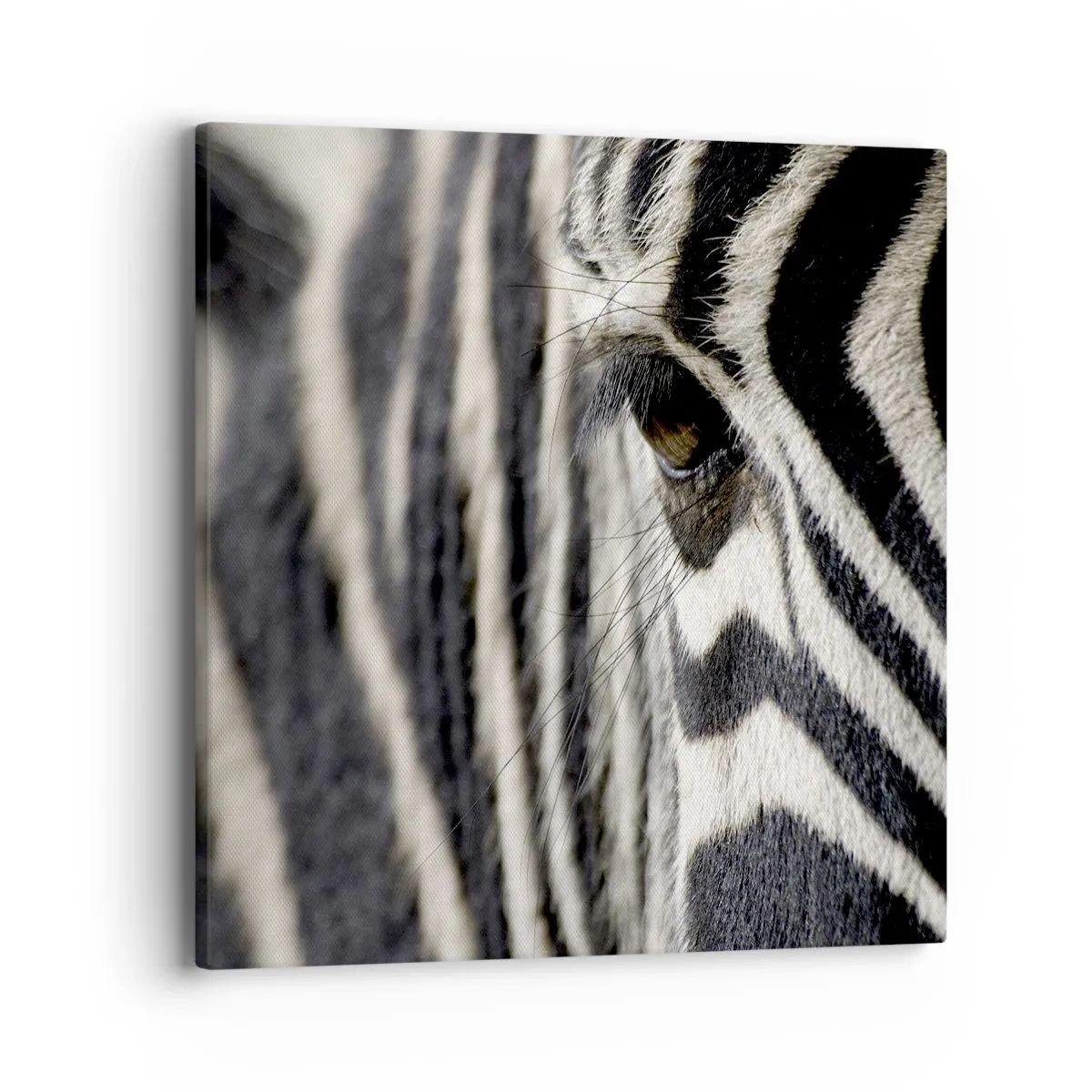 Canvas picture - Striped Portrait - 40x40 cm