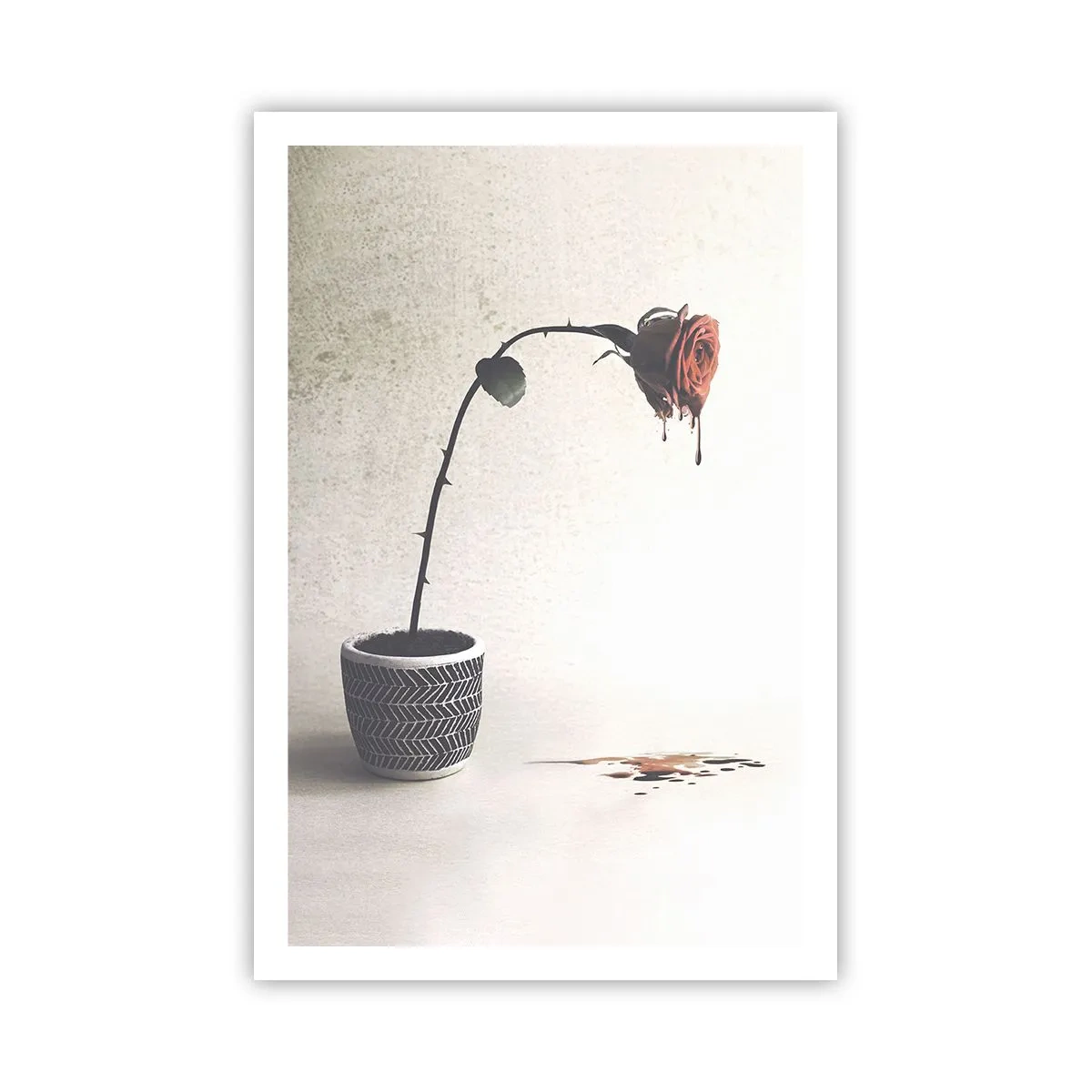 Poster - Rosa Dolorosa - 61x91 cm