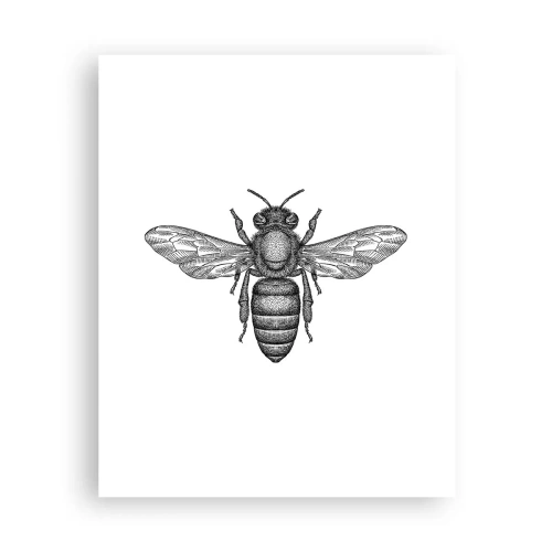 Poster - Insect Portrait - 40x50 cm