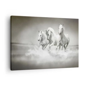 Canvas picture - Three white horses galloping through the water - 70x50cm - White Madness - Modern wall decoration for the living room and bedroom ARTTOR