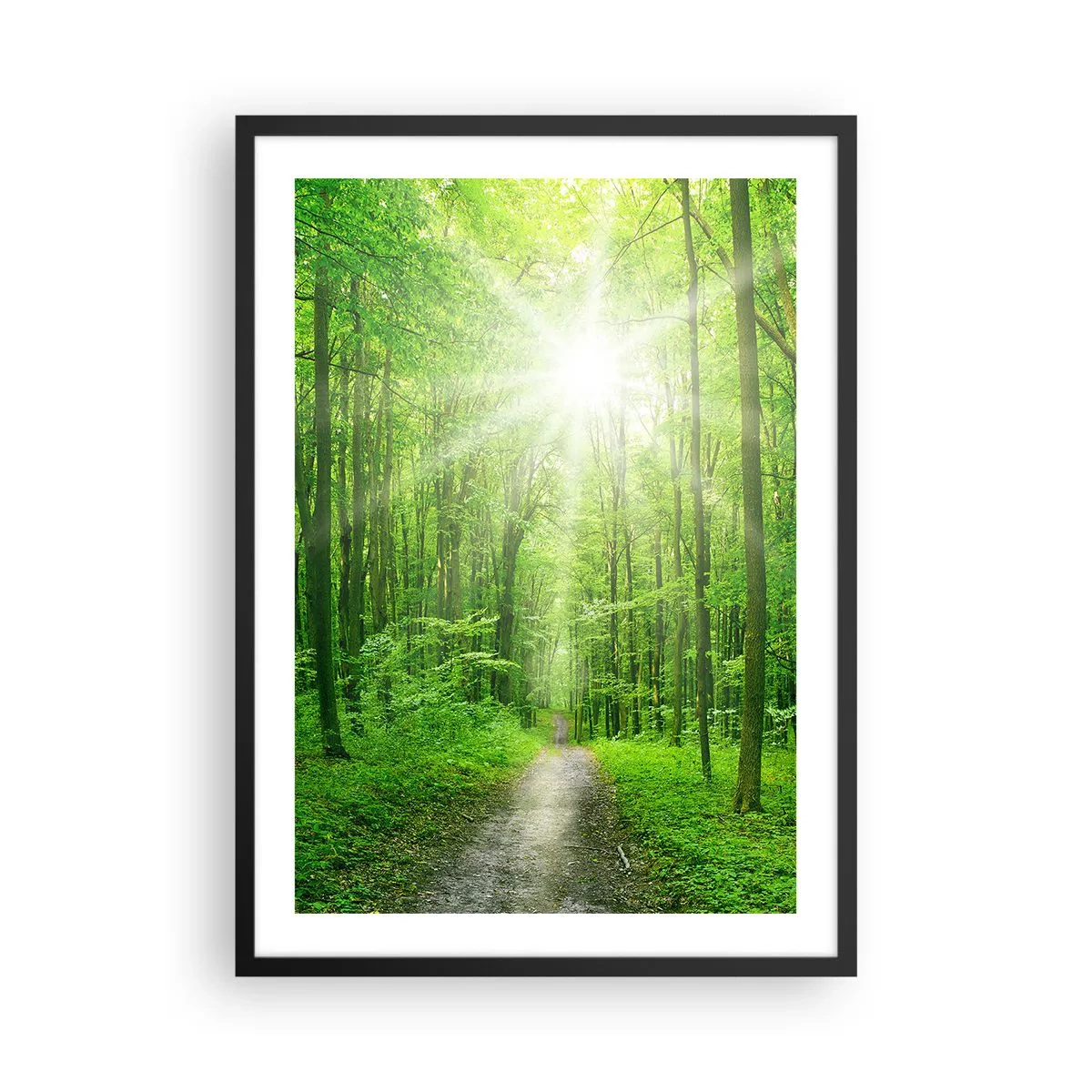 Poster in black frame - A forest path illuminated by the sun's rays - 50x70cm - Green Cathedral - Modern wall decoration for the living room and bedroom ARTTOR