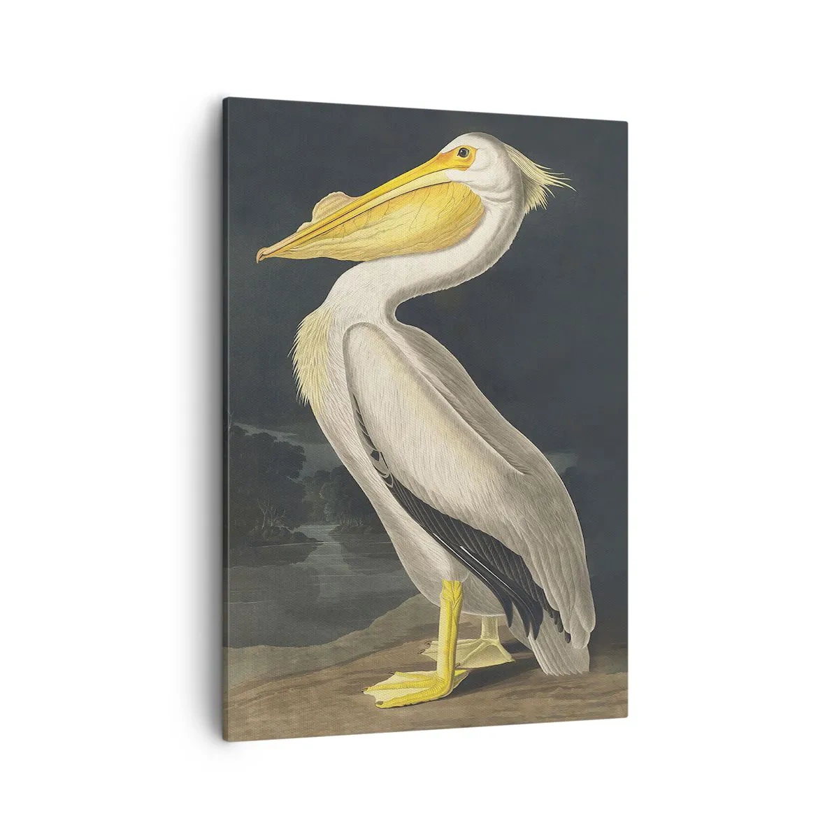 Canvas picture - Full of Pride - 50x70 cm