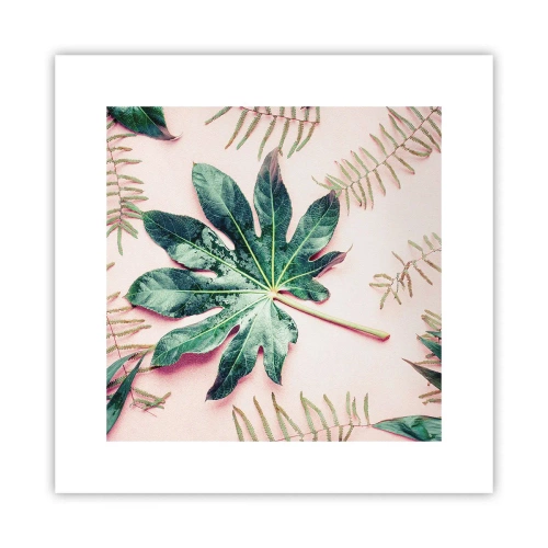 Poster - Study in Green on Pink Background - 30x30 cm