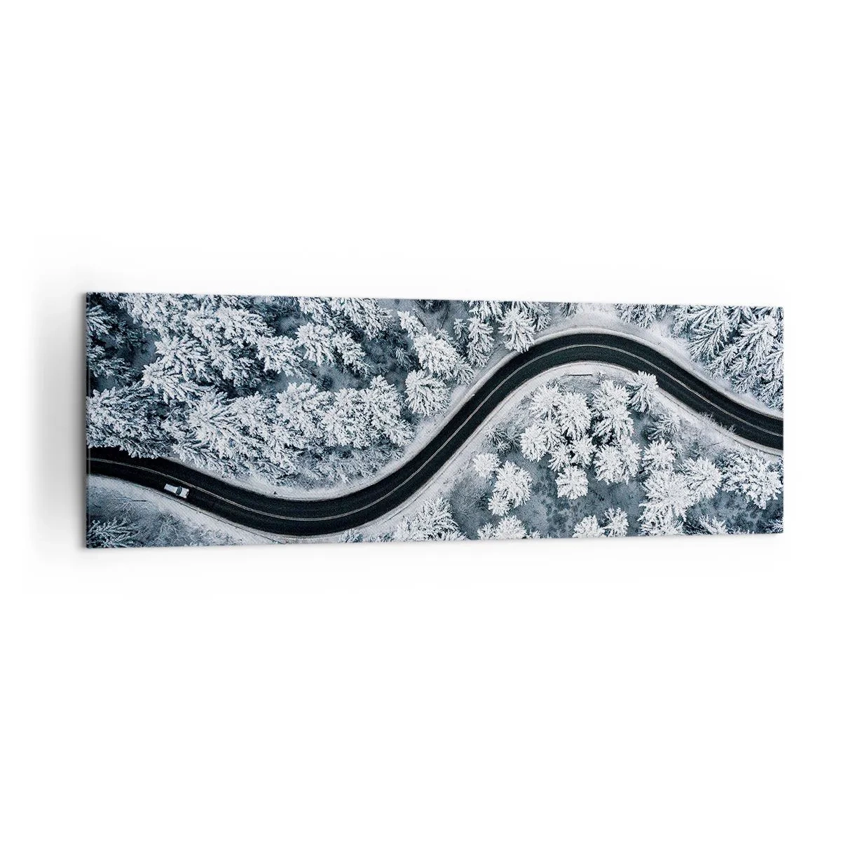 Canvas picture - Through Wintery Forest - 160x50 cm