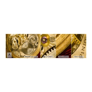Photo Wallpaper Sample Standard Eco - Follow the Zeitgeist - Clock, Clock Mechanism, Vintage - 100x30 cm