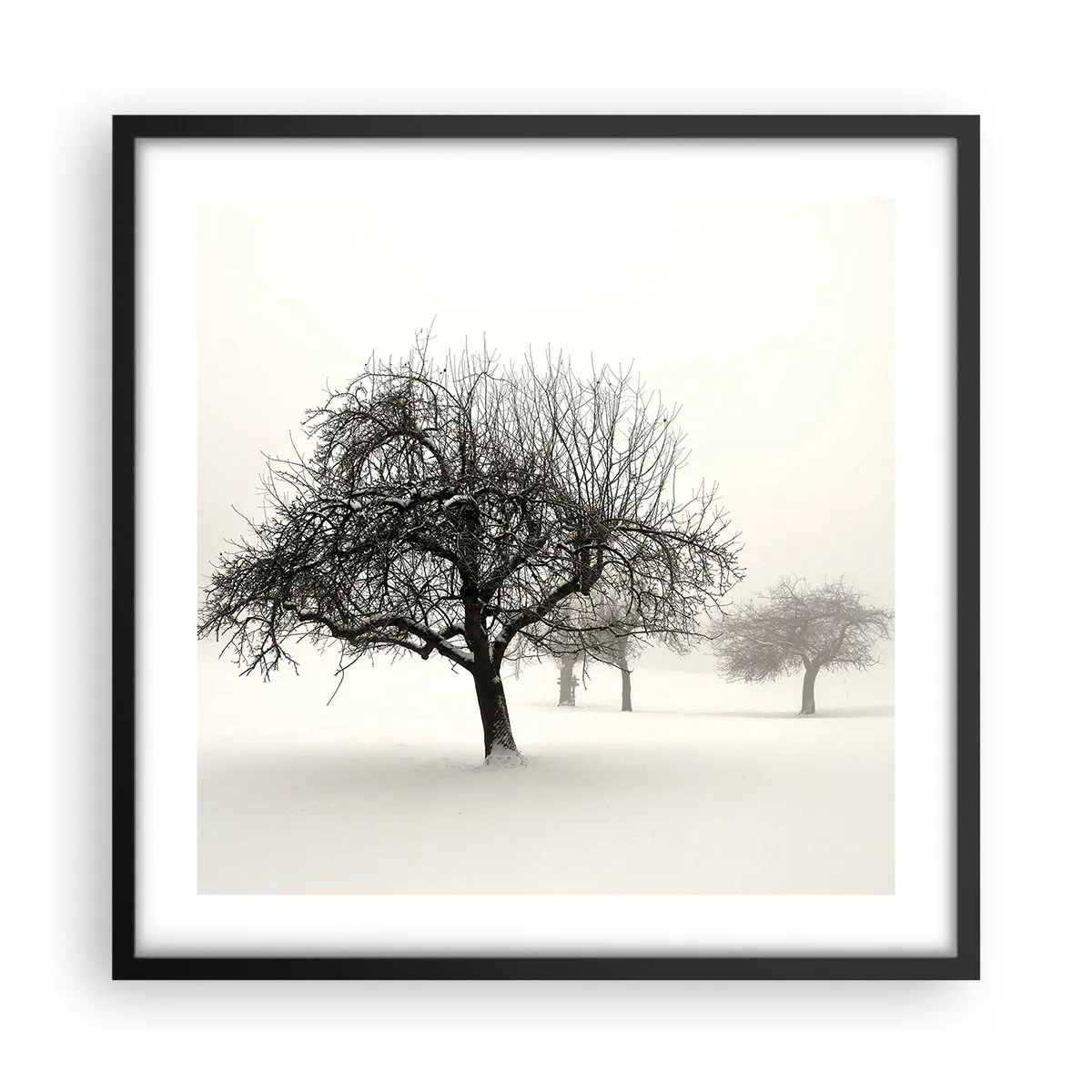 Poster in black frame - Winter Dream - 50x50 cm