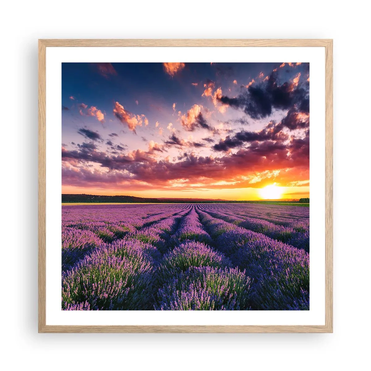 Poster in light oak frame - Lavender World - 60x60 cm