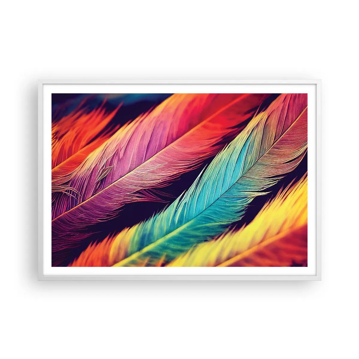 Poster in white frmae - Feathered Rainbow - 100x70 cm