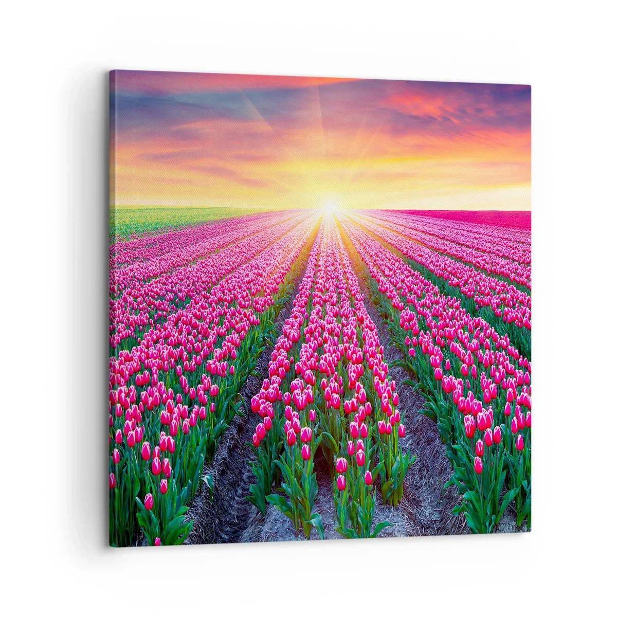 Canvas picture - Beauty Farm - 60x60 cm