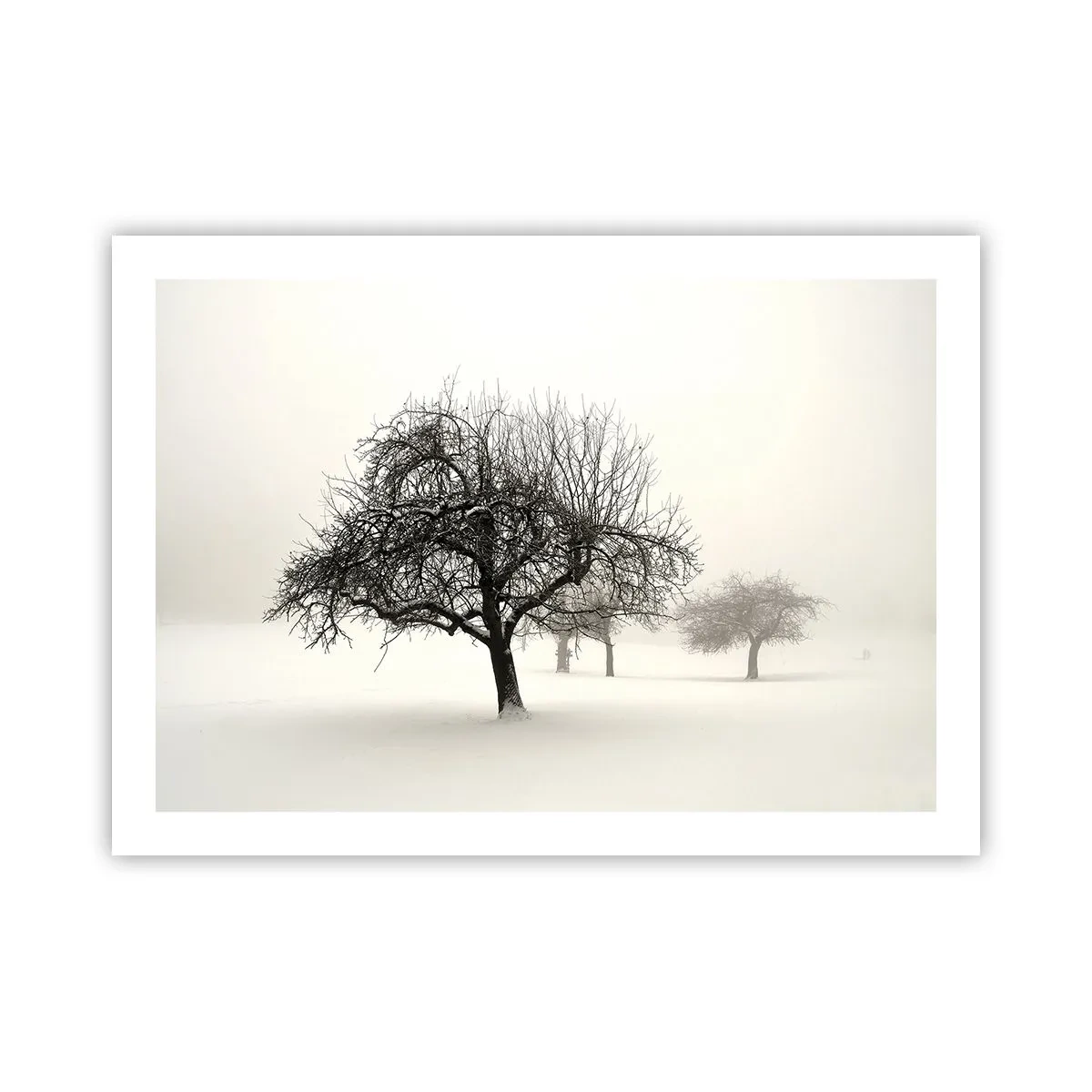 Poster - Winter Dream - 70x50 cm