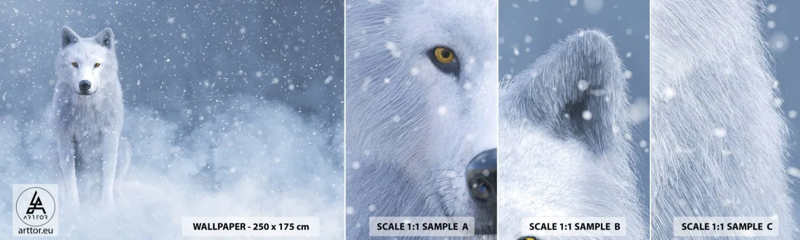 Photo Wallpaper Sample Standard Eco - In Winter Spirit - White Wolf, Animals, Winter - 100x30 cm