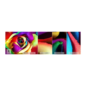 Photo Wallpaper Sample Standard Eco - It's Impossible - Abstraction, Flower, Colorful Rose - 100x30 cm