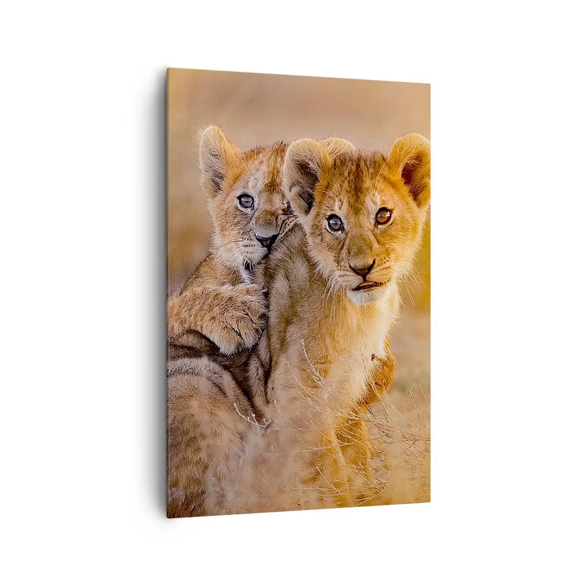 Canvas picture - Do Not Disturb! We Are Playing - 80x120 cm