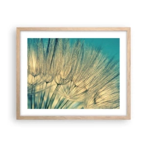 Poster in light oak frame - Waiting for the Wind - 50x40 cm