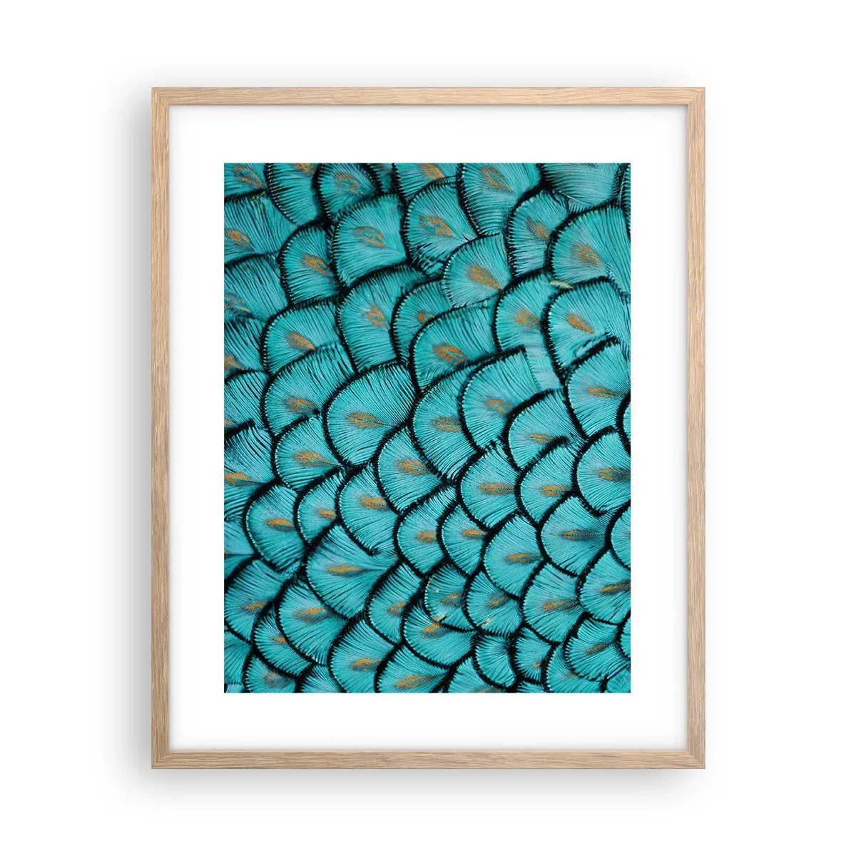 Poster in light oak frame - Great Feather Gala - 40x50 cm