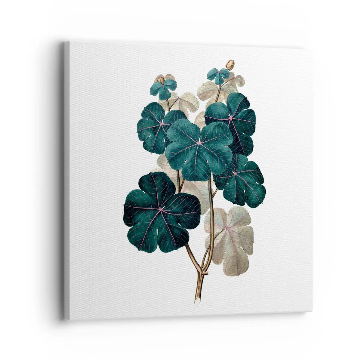 Canvas picture - From the Old Herbarium - 30x30 cm