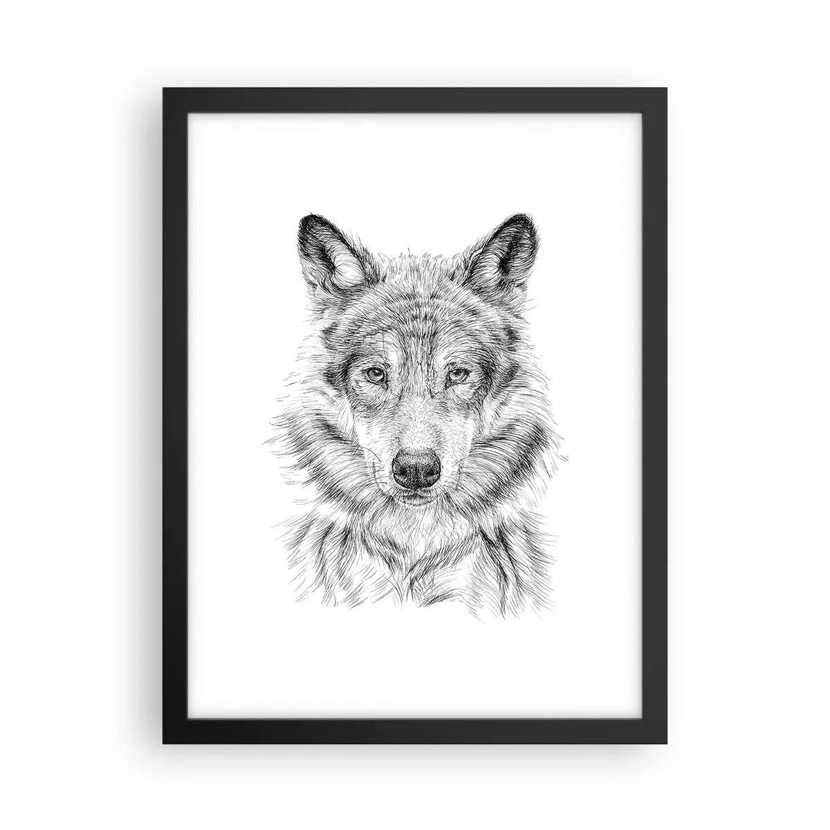 Poster in black frame - Born Leader - 30x40 cm