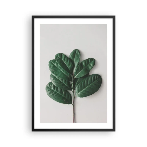 Poster in black frame - A branch with dark green leaves on a light background - 50x70cm - Drawing of Nature Itself - Modern wall decoration for the living room and bedroom ARTTOR