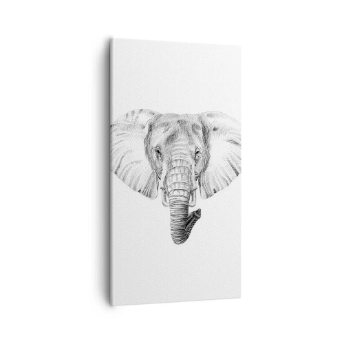 Canvas picture - There Once Was an Elephnat - 55x100 cm