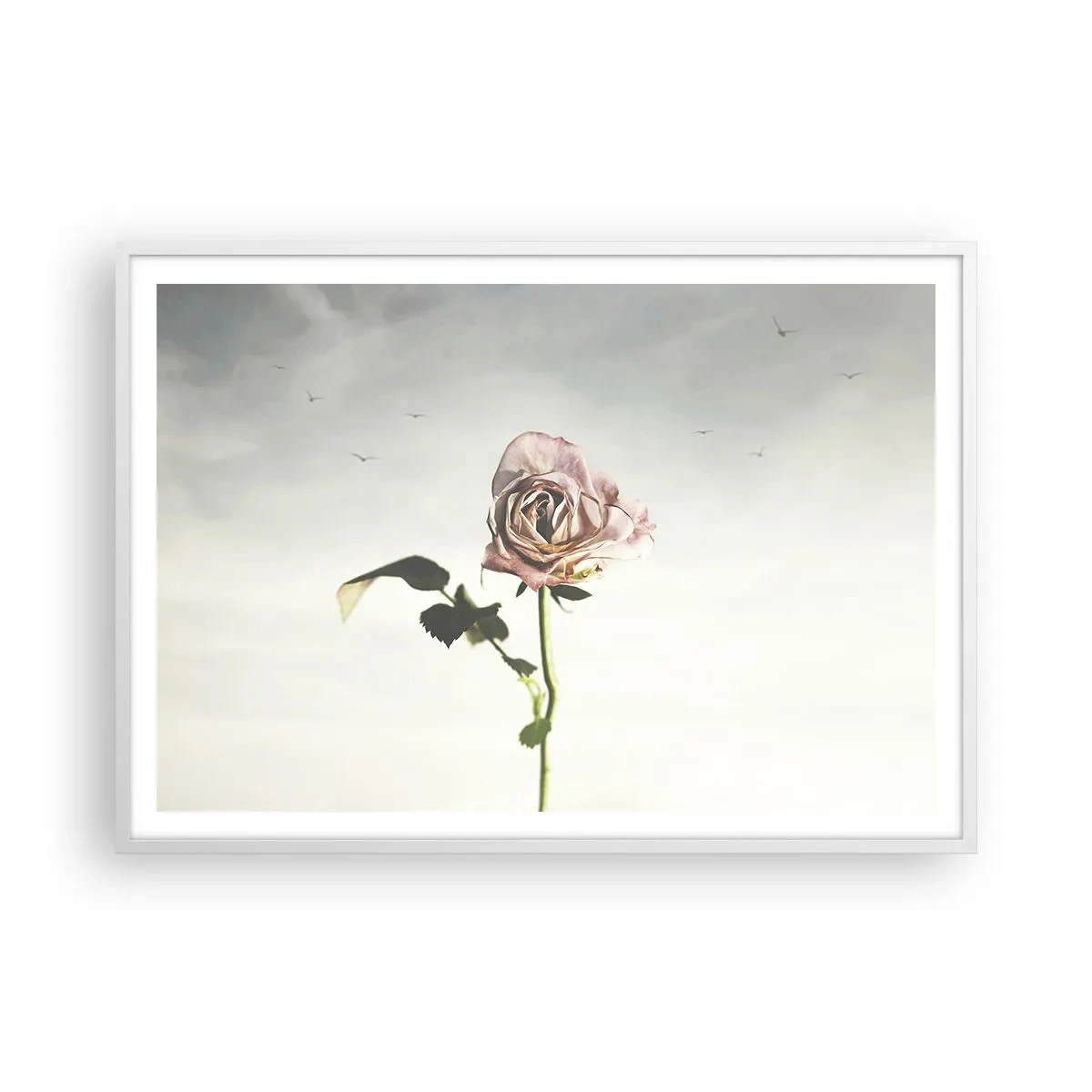 Poster in white frmae - Welcoming of Spring - 100x70 cm