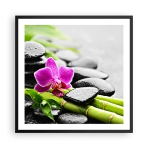 Poster in black frame - In a Peaceful Balance - 60x60 cm