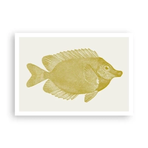 Poster - Just a Fish - 100x70 cm