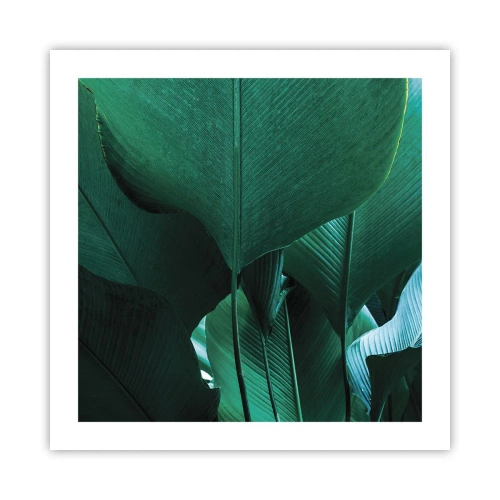 Poster - Turned towards Light - 50x50 cm