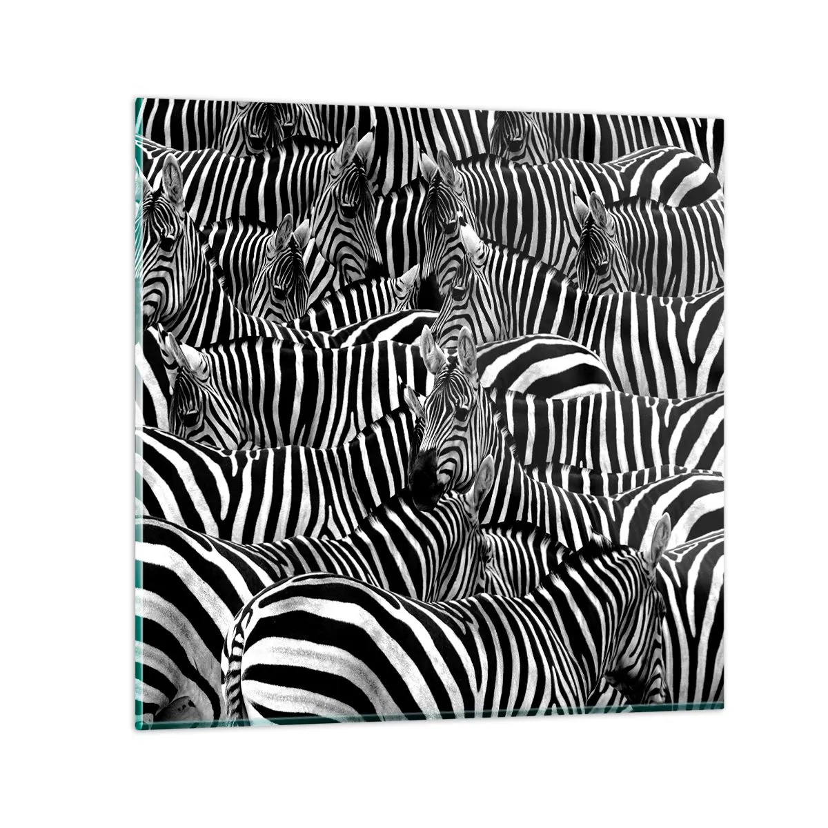 Glass picture - Striped Group Portrait  - 50x50 cm