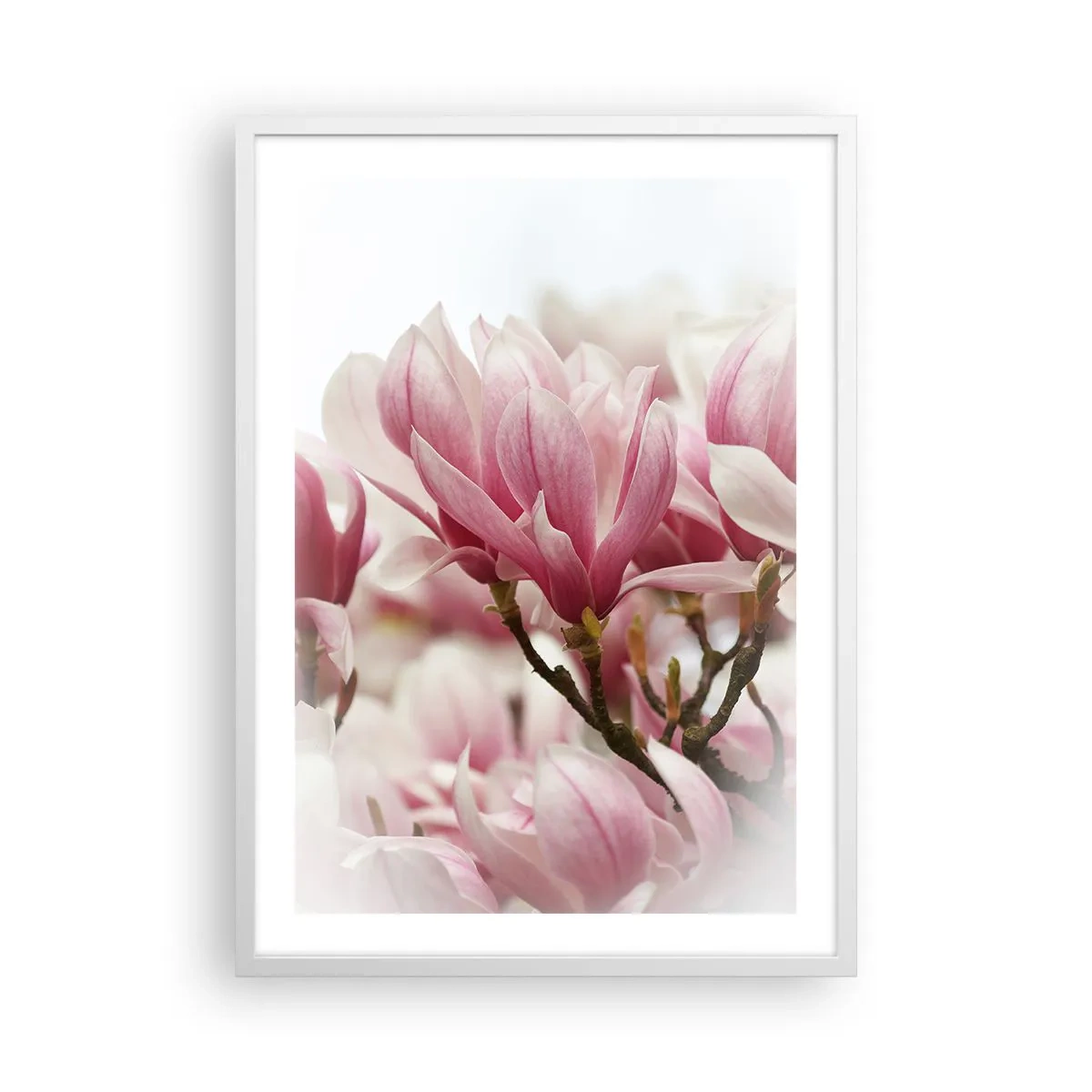 Poster in white frmae - Spring Flowers - 50x70 cm