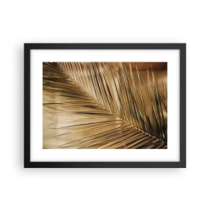 Poster in black frame - Natural Colonnade - 40x30 cm