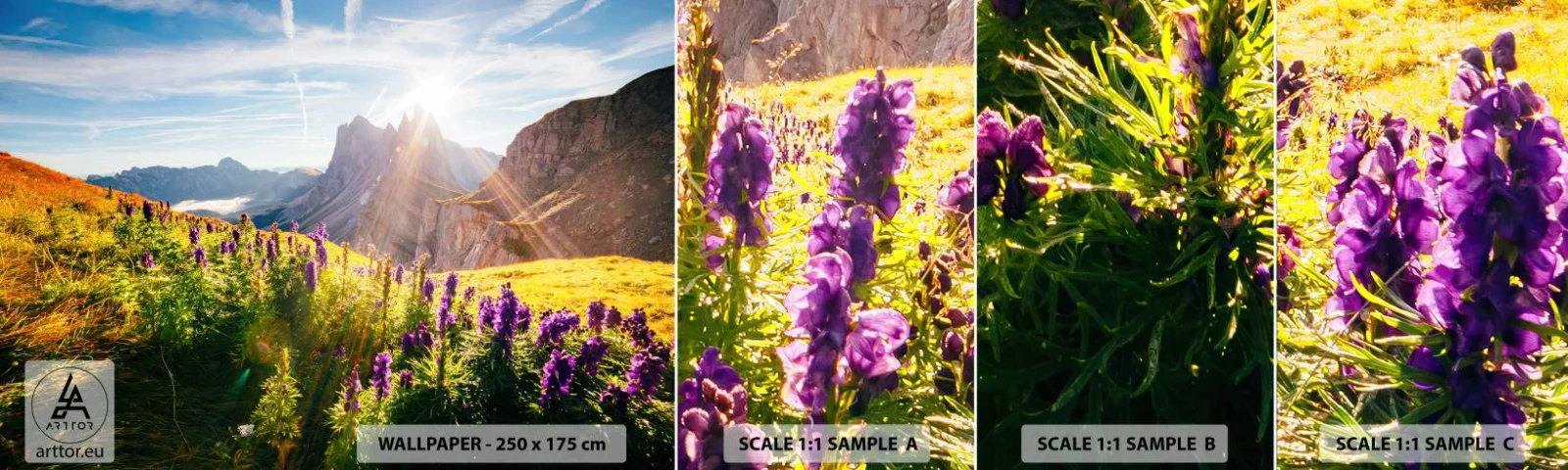 Photo Wallpaper Sample Standard Eco - Secret Life of Herbs - Landscape, Mountains, Mountain trails - 100x30 cm