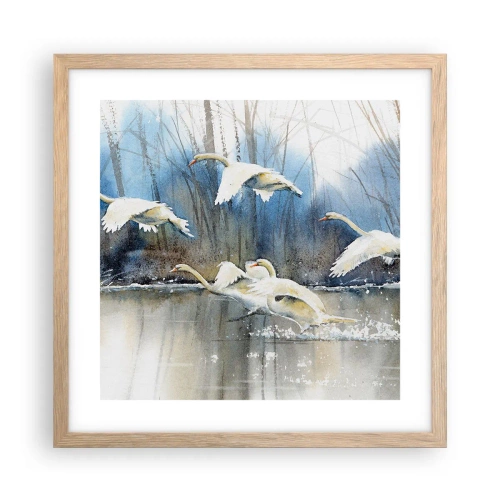 Poster in light oak frame - Like in a Fairy Tale about Wild Swans - 40x40 cm