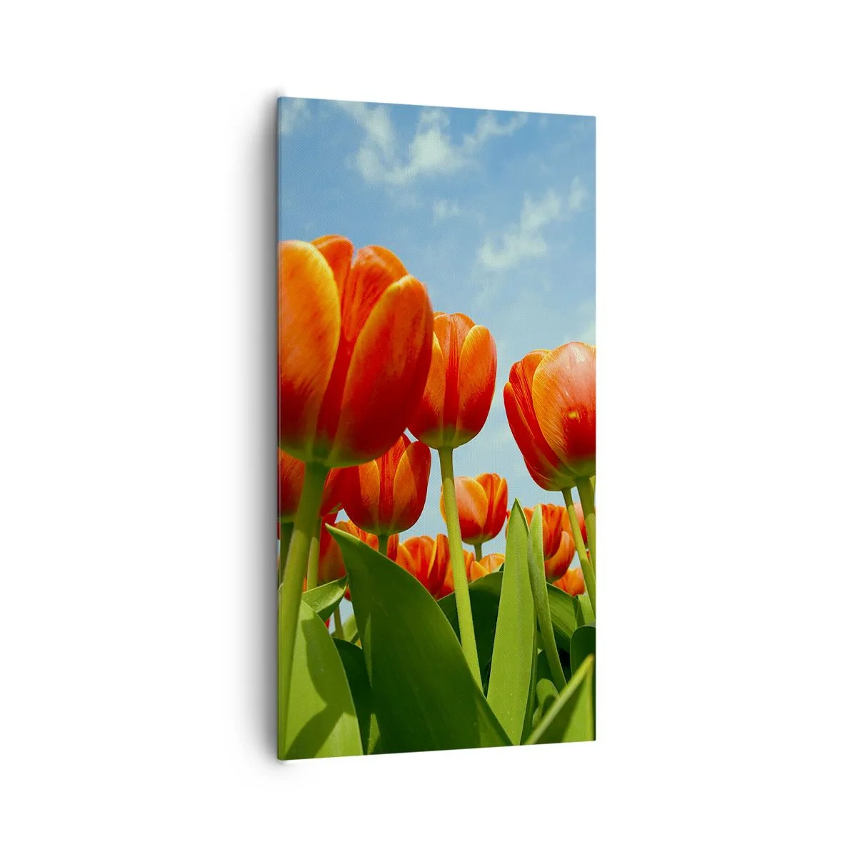 Canvas picture - Blue Sky Is All They Need - 65x120 cm