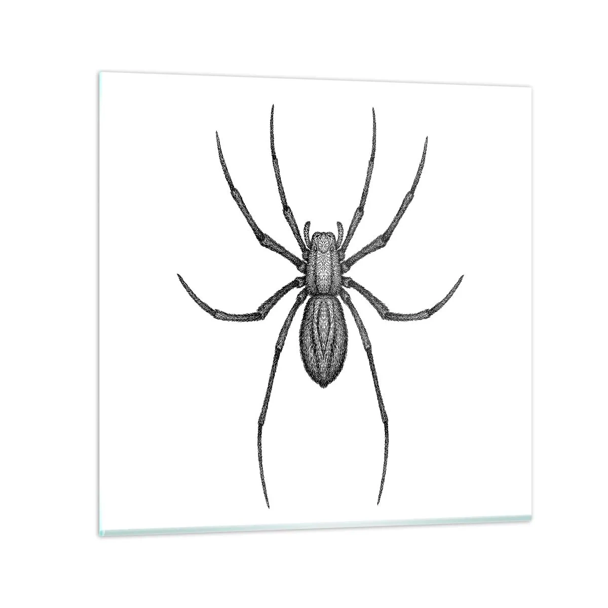 Glass picture - Disturbing Precision - 50x50 cm