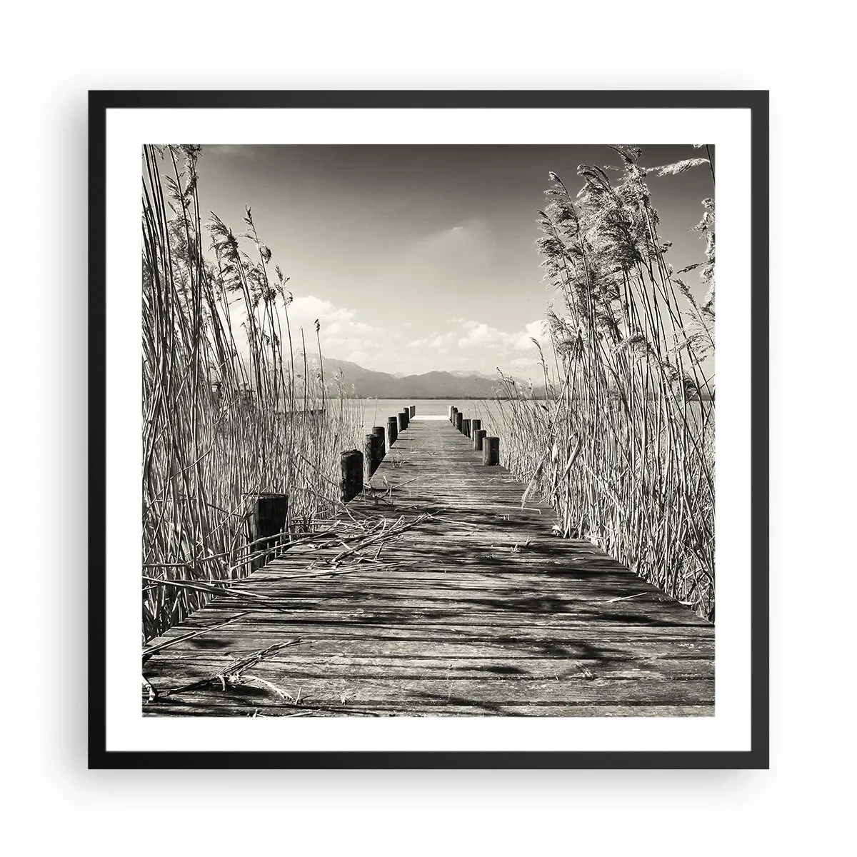 Poster in black frame - In the Grass - 60x60 cm