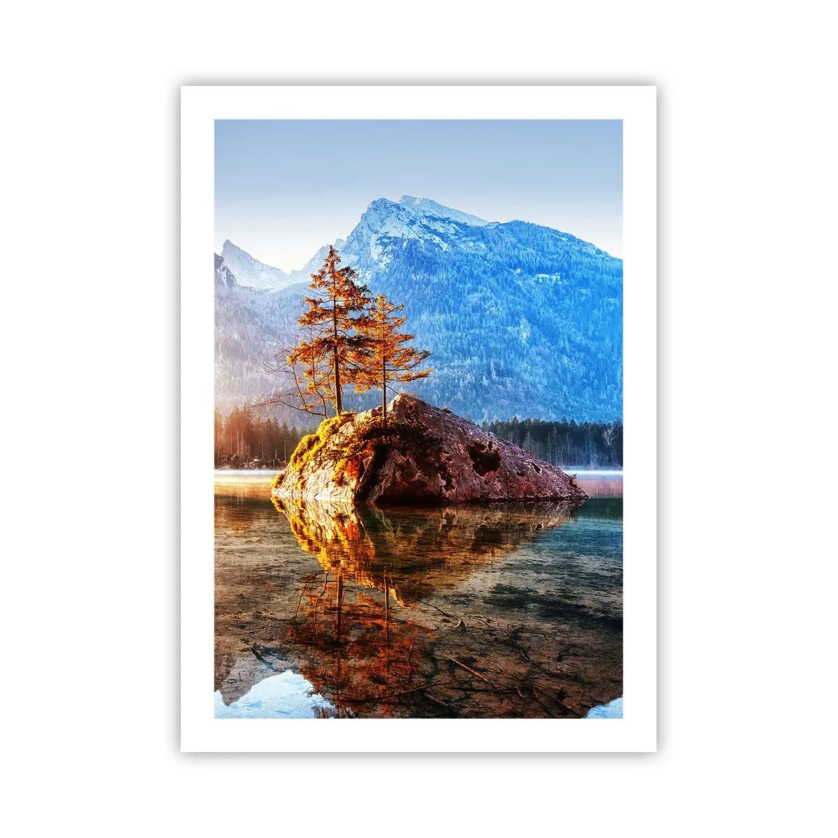 Poster - Nature in New Light - 50x70 cm
