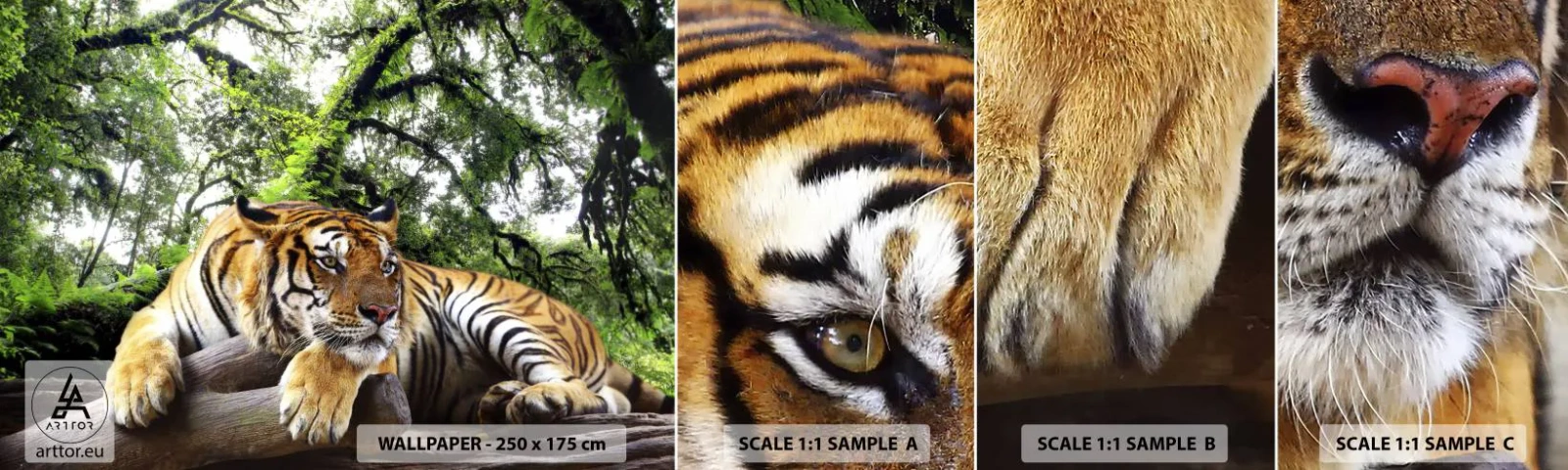 Photo Wallpaper Sample Self-Adhesive Deluxe Sticker - Best Regards - Tiger, Animals, Predator - 100x30 cm