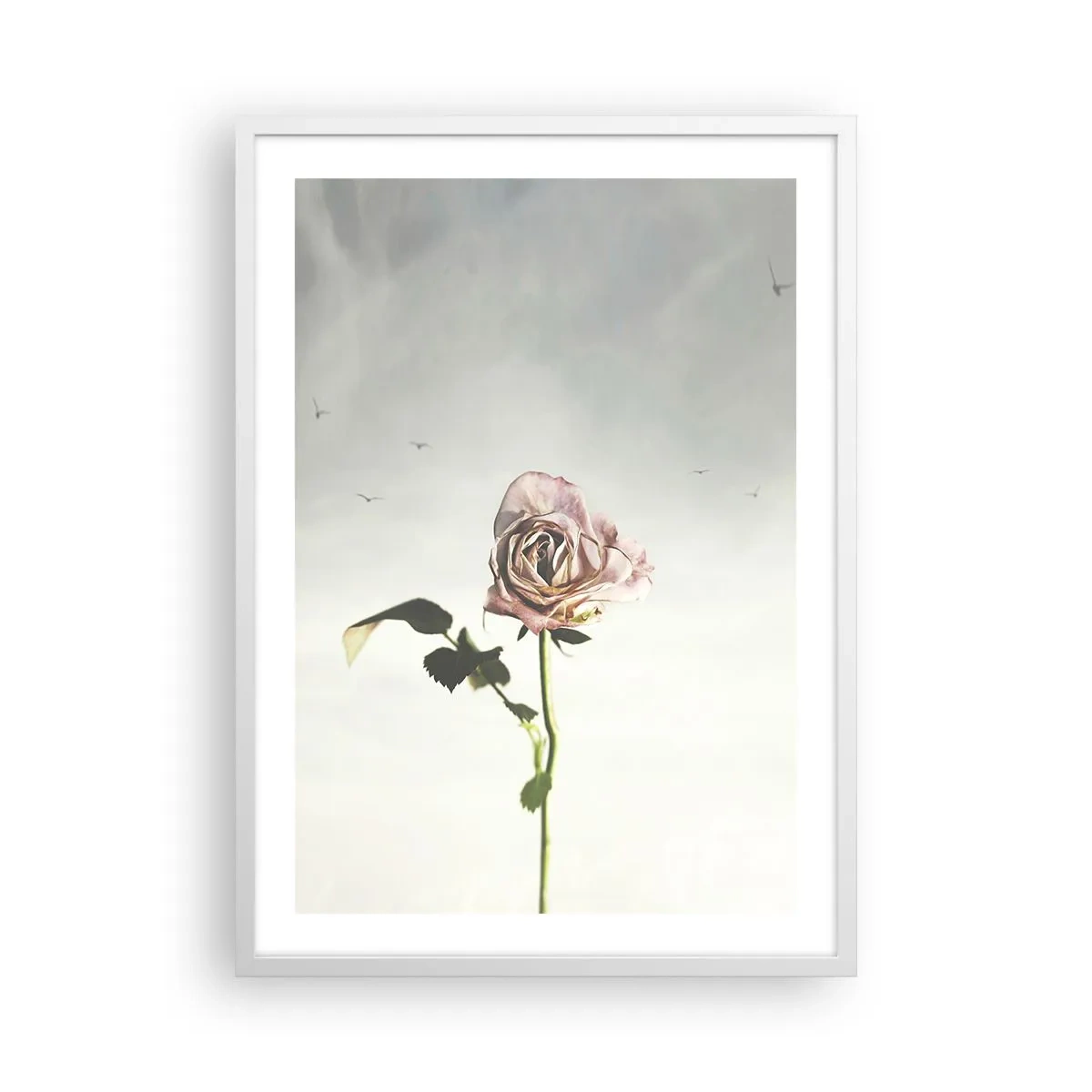 Poster in white frmae - Welcoming of Spring - 50x70 cm