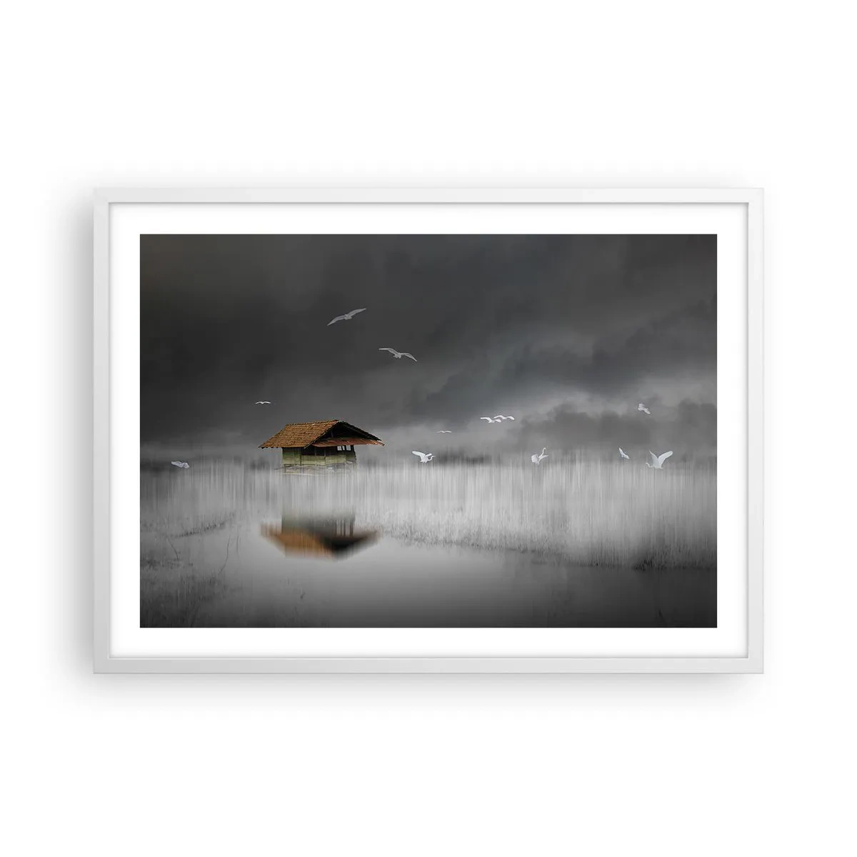 Poster in white frmae - Shelter from the Rain - 70x50 cm