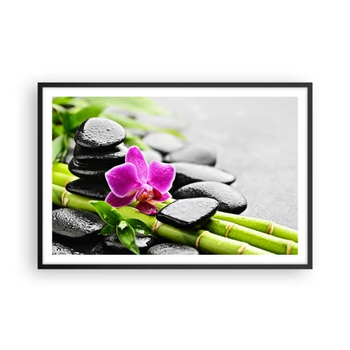 Poster in black frame - In a Peaceful Balance - 91x61 cm