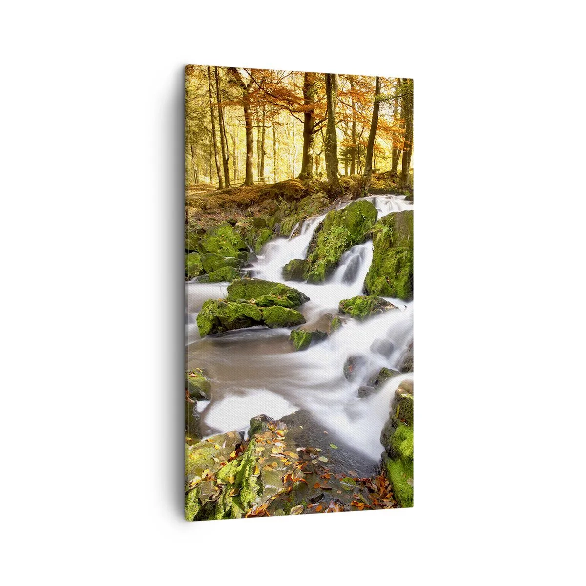 Canvas picture - Gingerly through an Autumnal Forest - 45x80 cm